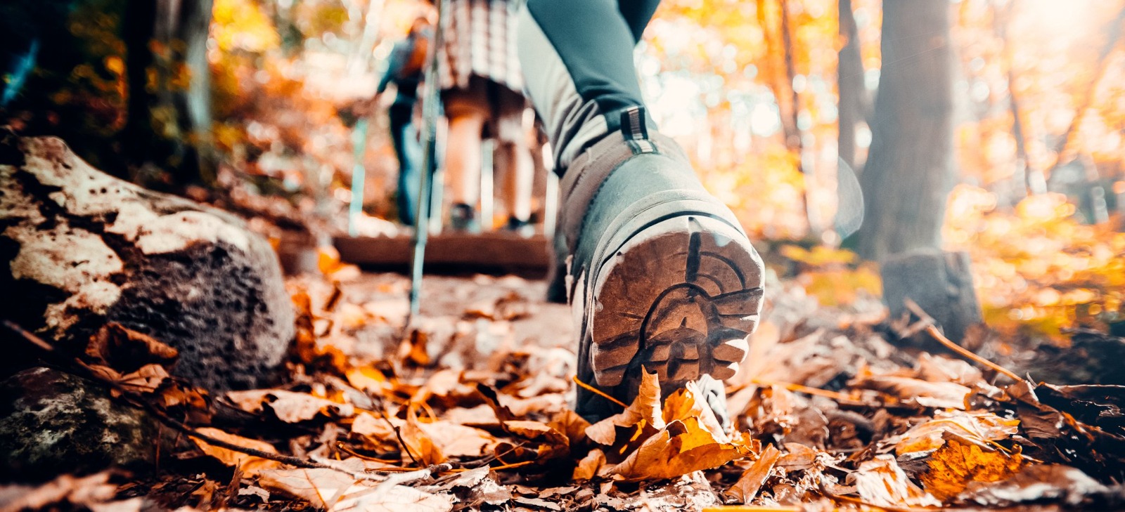 Person walking in the fall